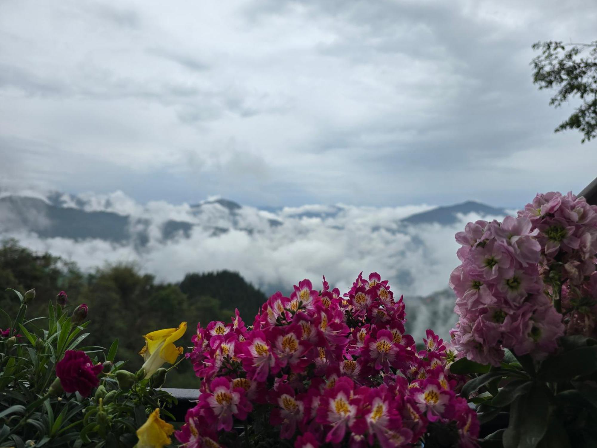 Homestay Morning Mist *